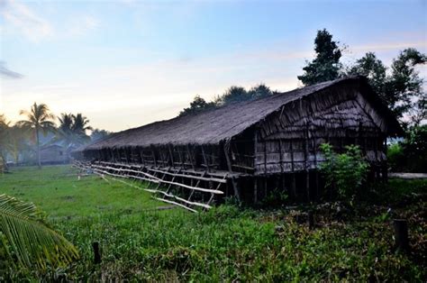 Rumah Adat Suku Asmat : Nama, Sejarah, Bagian dan Keunikan