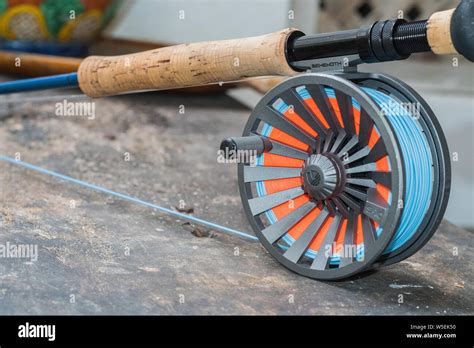 Saltwater Fly Fishing Rod In Mangrove Los Roques Venezuela Stock Photo