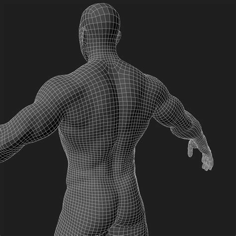 Visible Body Anatomy And Physiology 5