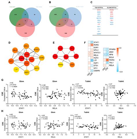 Reduced Renal CSE/CBS/H2S Contributes to the Progress of Lupus Nephritis
