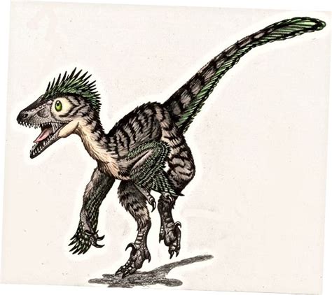 Deinonychus Vs Velociraptor