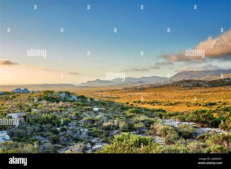 The Wilderness Of Cape Point National Park The Wilderness Of Cape