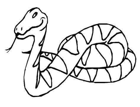 Coral Snake Drawing at GetDrawings | Free download