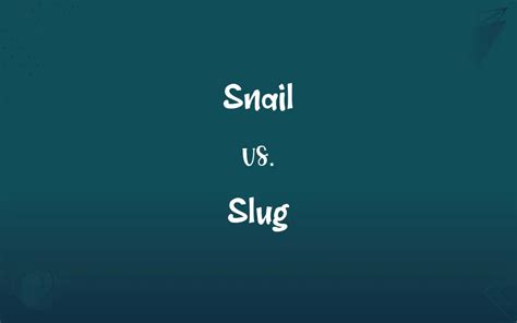 Snail vs. Slug: What’s the Difference?