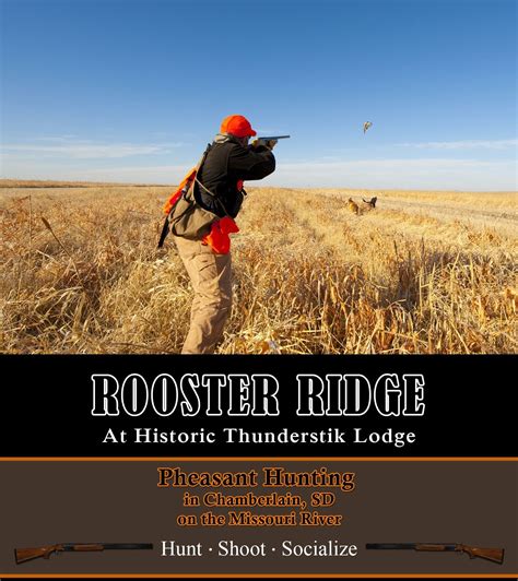 South Dakota Pheasant Hunting Secrets Revealed by Expert Hunters