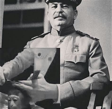 Сталин и ко | Пикабу