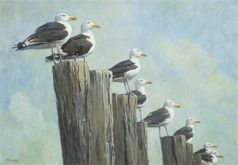 Exhibition: Avian Art - Online Exclusive Exhibition | Childs Gallery