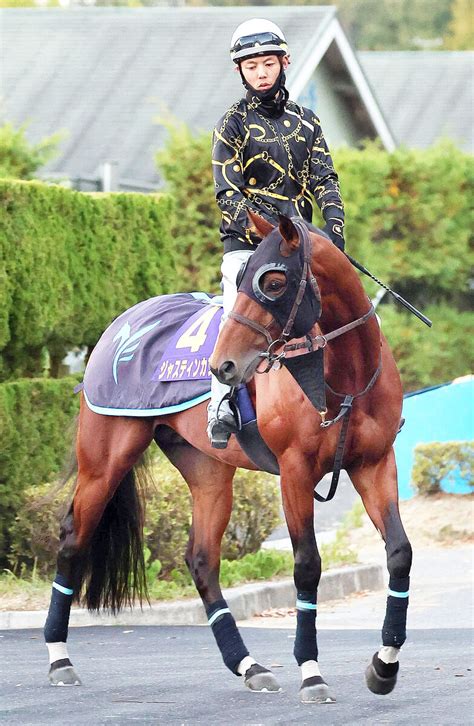 【マイルcs】ジャスティンカフェでjra・g1初制覇を狙う安田翔伍調教師、父・隆行師と親子対決 Umatoku 馬トク