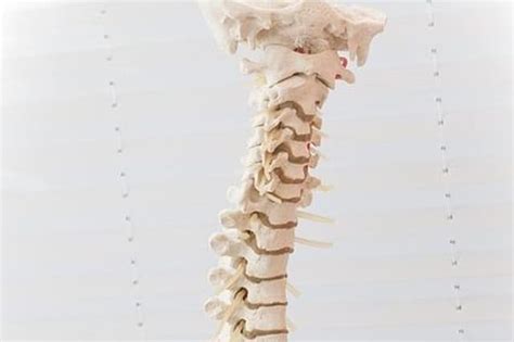 sciatica chiropractor brisbane  chiro