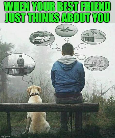 Image Tagged In Wholesome Imgflip