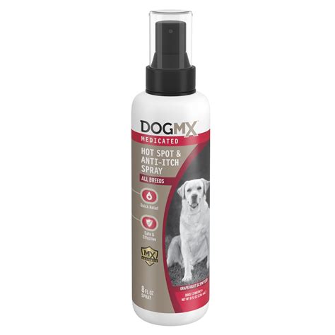 What Is The Best Anti Itch For Dogs