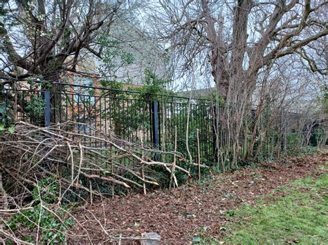 Contractors Directory Hedgerows Ireland