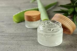 L aloe vera Un Remède Naturel pour Apaiser les Démangeaisons et les