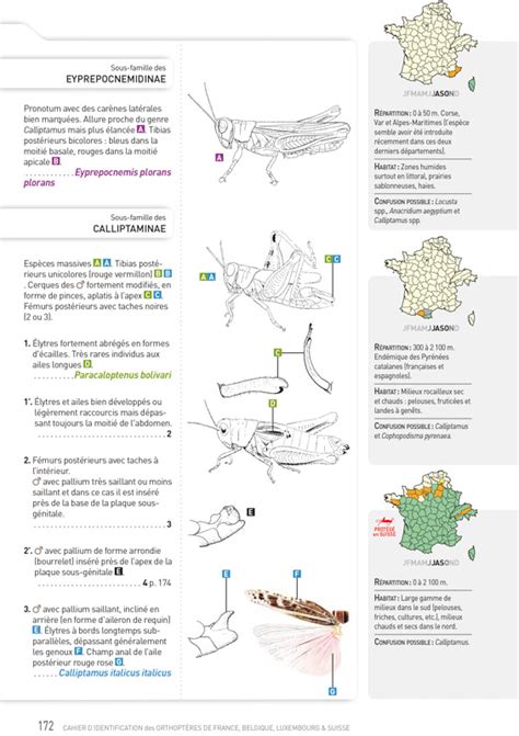 Orthoptera ch Cahier d identification des Orthoptères de France