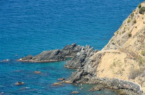 240 Maro Costa Del Sol Photos Stock Photos Pictures And Royalty Free