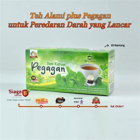 Jual Teh Herbal Pegagan Original Minuman Jamu Untuk Kesehatan Otak