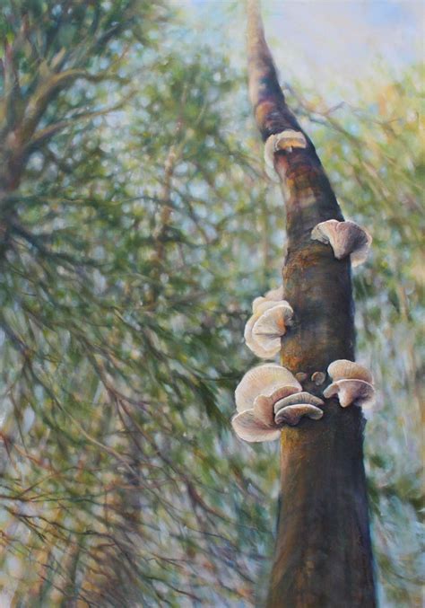 Polypore Fungi finished | Nikki Artwork