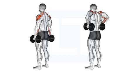 Dumbbell Arnold Press - Guide, Benefits, and Form