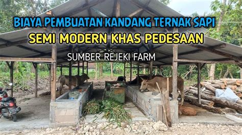 Kandang Sapi Pedesaan Semi Modern Sumber Rejeki Farm Youtube