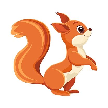 Squirrel Cartoon Drawing Stock Illustration - Download Image Now ...