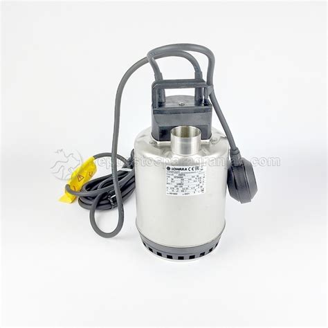 Lowara Submersible Water Pump For Cooling