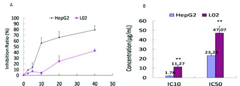 Parthenolide Suppresses The Viability Of Hepg2 Cells Hepg2 Cells Were