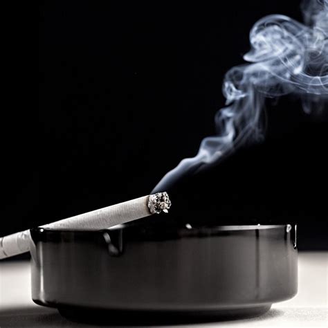 karangan keburukan merokok isobel carpenter