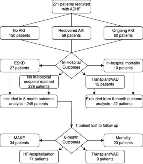 Acute kidney injury recovery status predicts mortality and cardiorenal