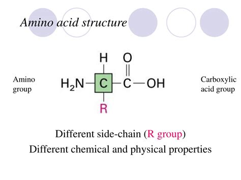 Ppt Chapter 1 Structures And Functions Of Proteins Powerpoint Presentation Id9345932