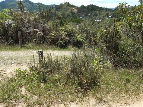 Venta De Lote O Casalote En Vereda Pantanillo Retiro M