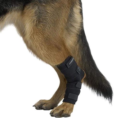 Kruuse Rehab Hock Protector For Dogs Small Uk Pet Supplies