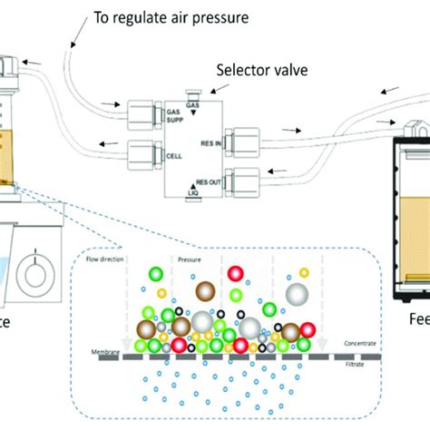 Schematic Diagram Of The Dead End Stirred Cell Filtration Setup Download Scientific Diagram