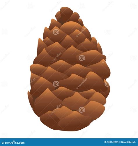 Botanical Pine Cone Icon Cartoon Style Stock Vector Illustration Of