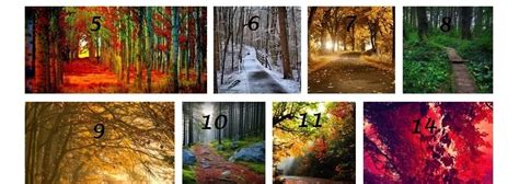 The Path You Choose Reveals A Lot About Your Personality Take The Quiz Now