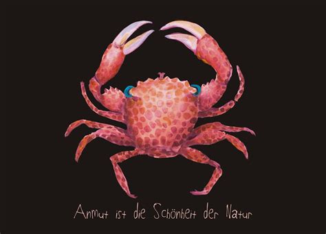 Anmut ist die Schönheit der Natur Postkarte klein - vollkunstvoll.de ...