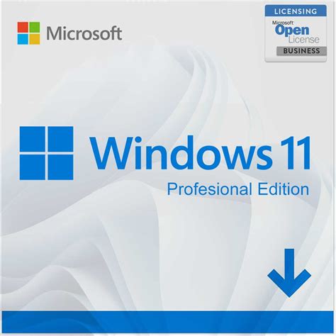 Windows 11 Professional Pro Product key license | keysdirect.us ...