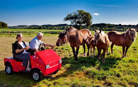 Elektrofahrzeuge » für Senioren | Graf-Carello