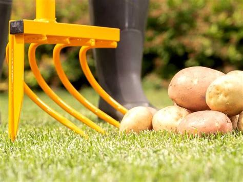 ручной культиватор торнадо для копки картофеля
