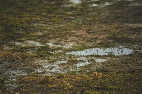 Água no solo esgoto e problemas de drenagem chuva forte em áreas rurais