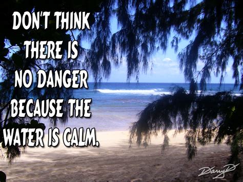 Quotes About Danger Quotesgram