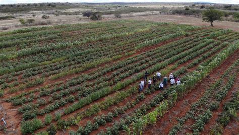 Em Anos Projeto Conclui Sistematiza Es No Mbito Da Gest O E