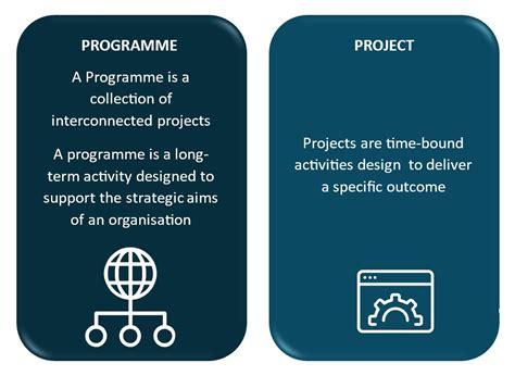 programme management important protean
