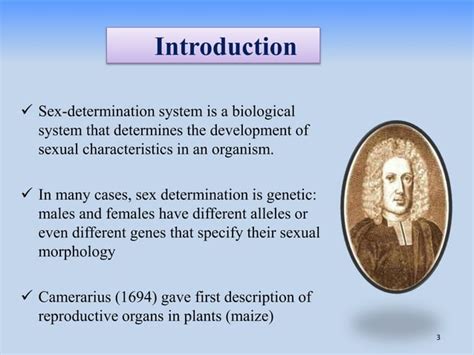 Sex Determination In Plants Pptx Reproductive Health Diseases And Conditions