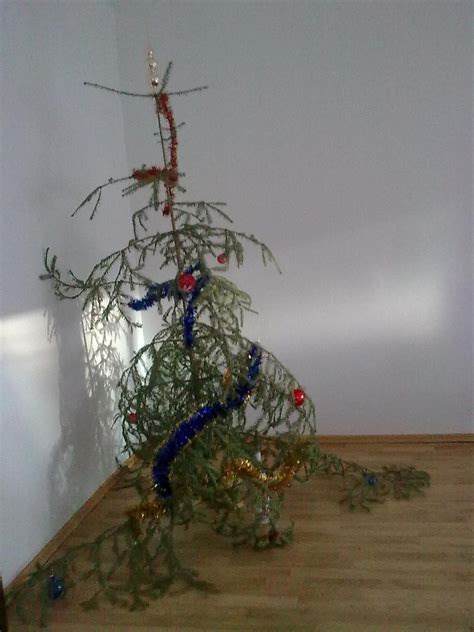 Christmas tree FAIL......lol | Funny christmas tree, Ugly christmas ...