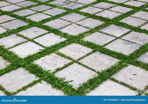 grass floor background royalty  stock photography cartoondealer
