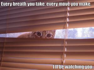 Open and Fill Your Funnel with Stumble Remarketing