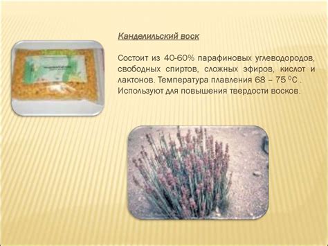 Воски и восковые смеси, применяемые в зуботехническом производстве ...