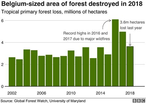 Habitats Environmental Changes at Norman Stevens blog