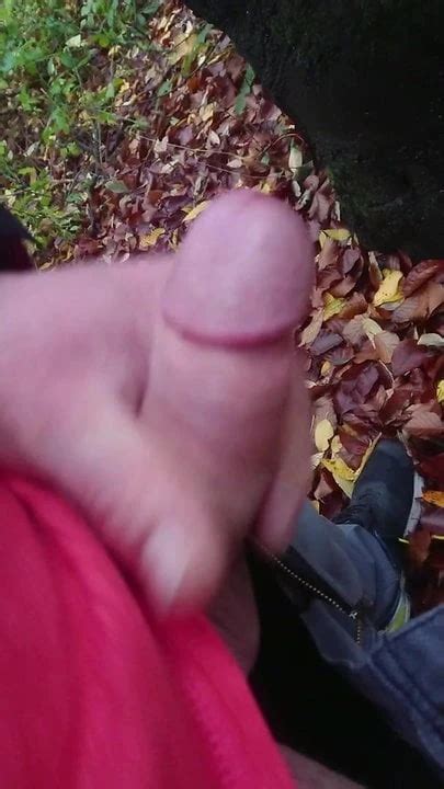 Im Wald Gewichst Gay Masturbation Masturbation Porn Feat Michamechanik XHamster