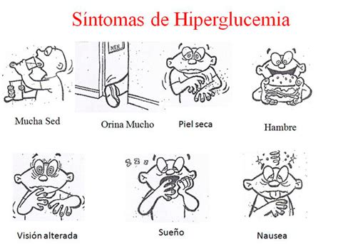 ¿qué Es La Hiperglucemia Federación Mexicana De Diabetes A C